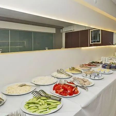 فندق Metrolux 3*