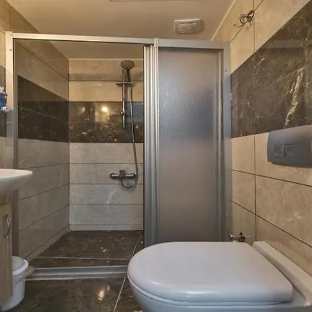 Metrolux فندق
